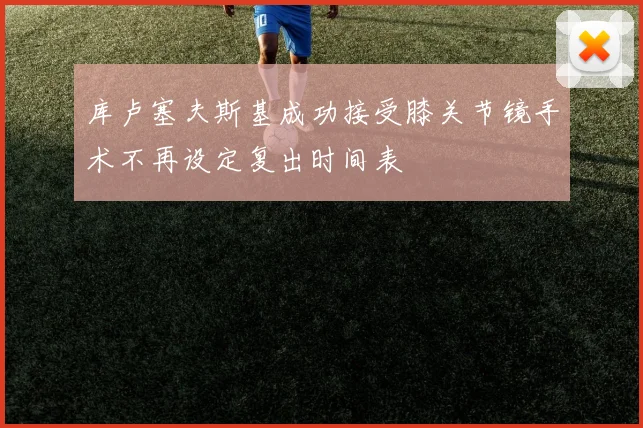 库卢塞夫斯基成功接受膝关节镜手术不再设定复出时间表