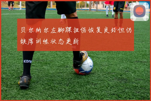 贝尔纳尔左脚踝扭伤恢复良好但仍缺席训练状态更新