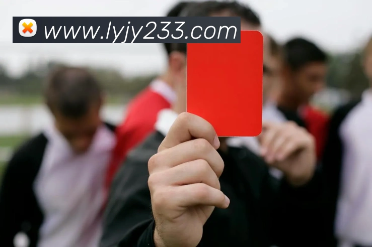 星空官方网页版入口品牌故事