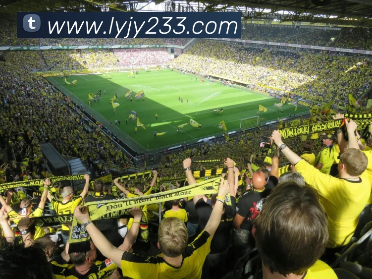 星空官方网页版入口服务体系